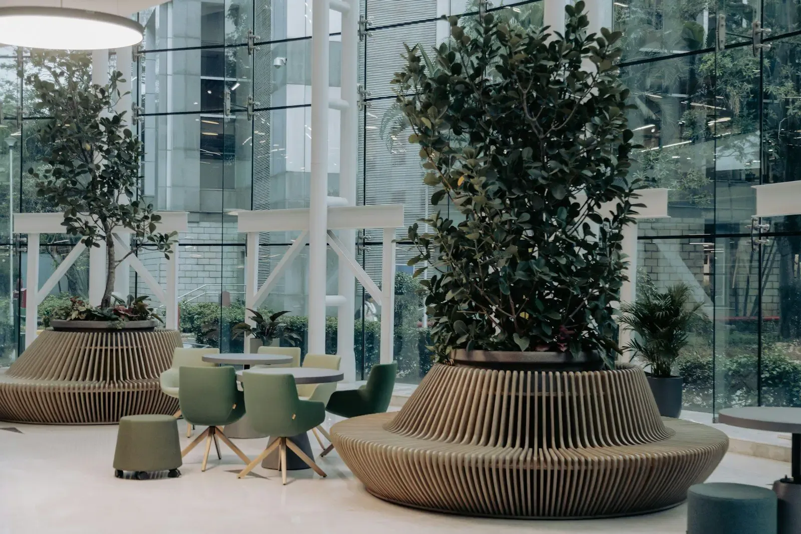 Office lobby with large potted trees and glass walls