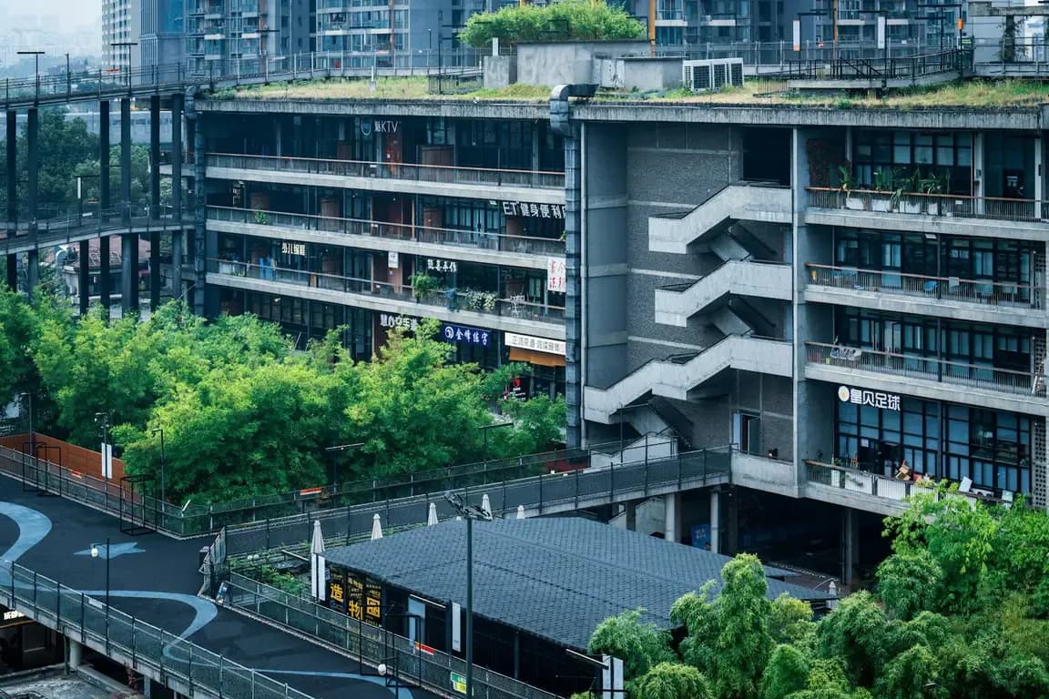 Building with a lush green rooftop and bamboo plants