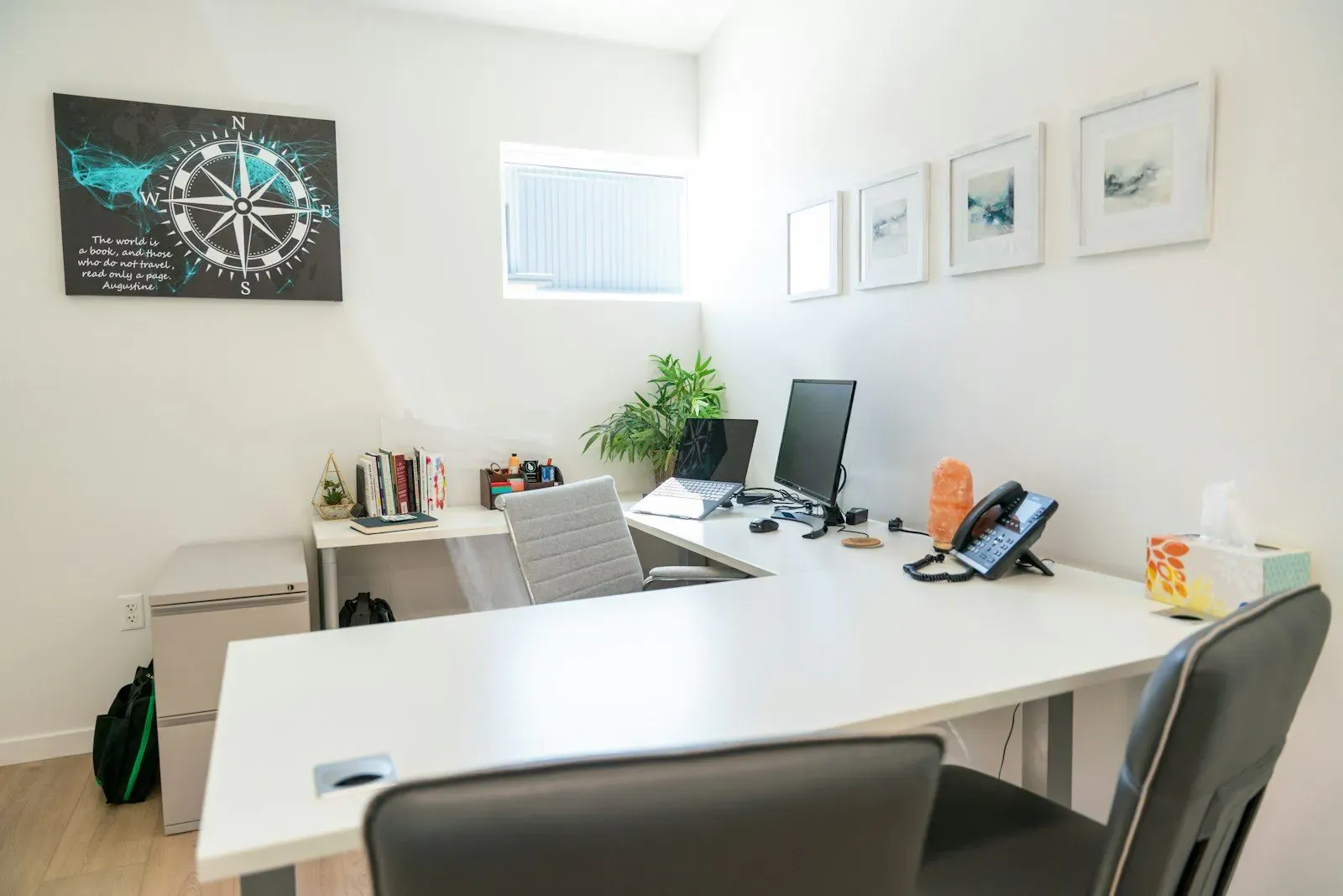 Modern office workspace with dual monitors and a leafy plant